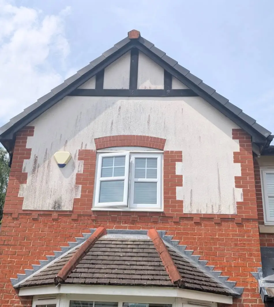 Algae stained rendered gable wall before cleaning